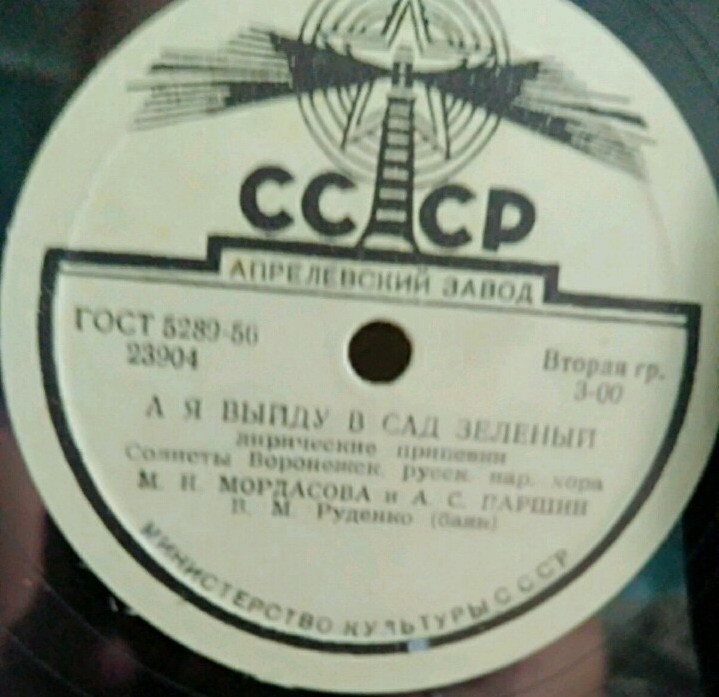 М. Мордасова, Воронежский русский народный хор