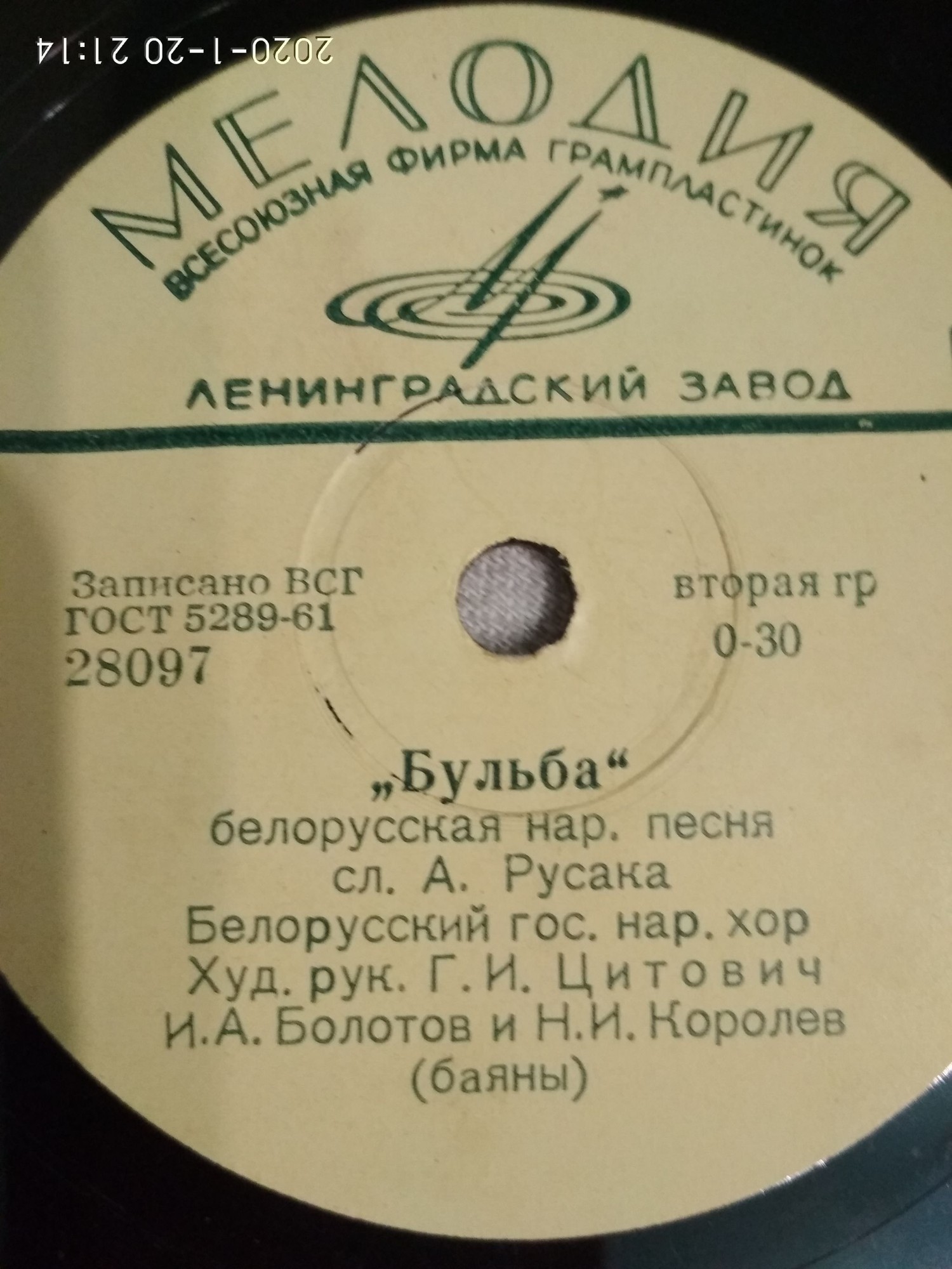 Зубренок / Бульба