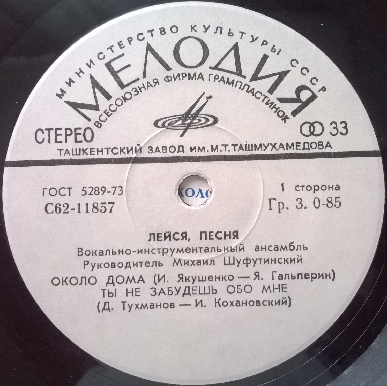 ВИА "Лейся, песня"