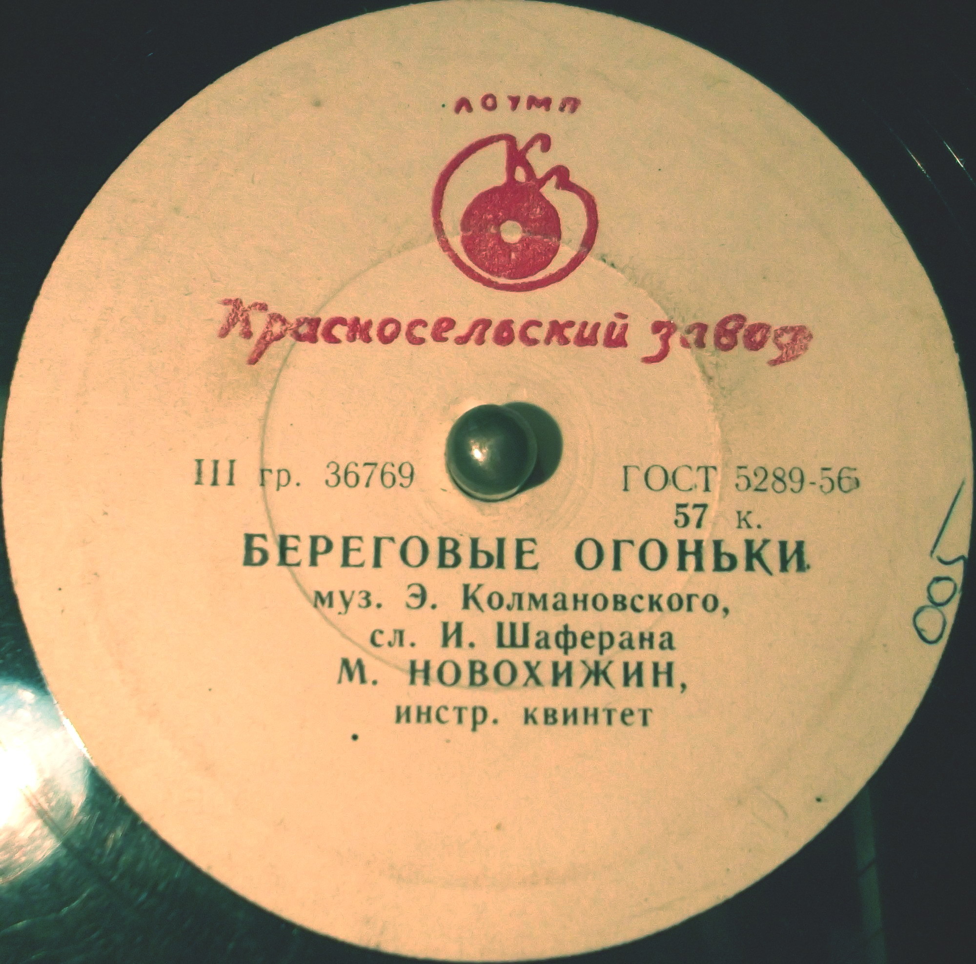 Михаил Новохижин - Береговые огоньки / Веснушки