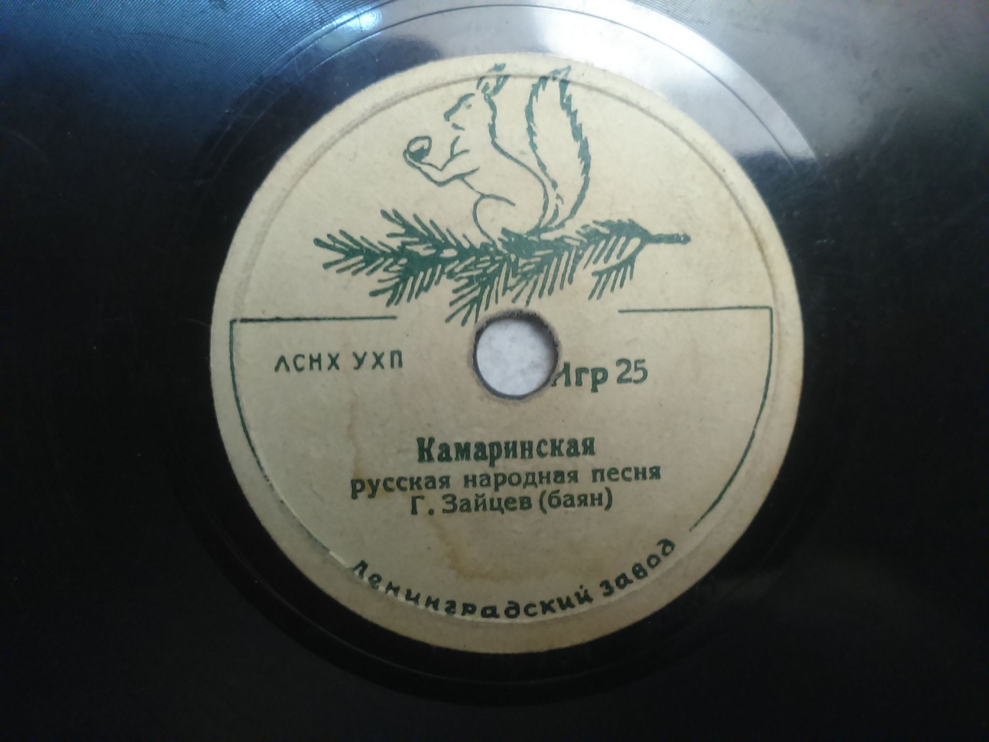 Меж крутых бережков / Камаринская