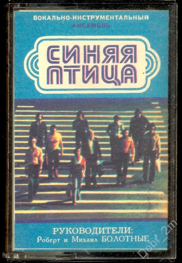 Вокально-инструментальный ансамбль "Синяя птица"