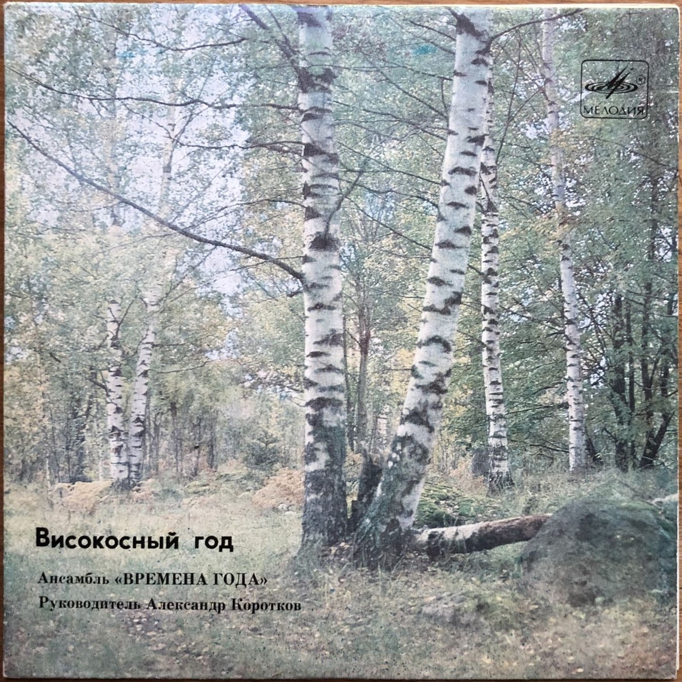 Ансамбль «Времена года» - Високосный год