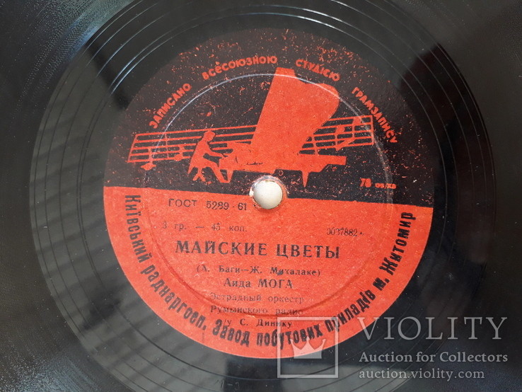 Тюльпаны // Майские цветы