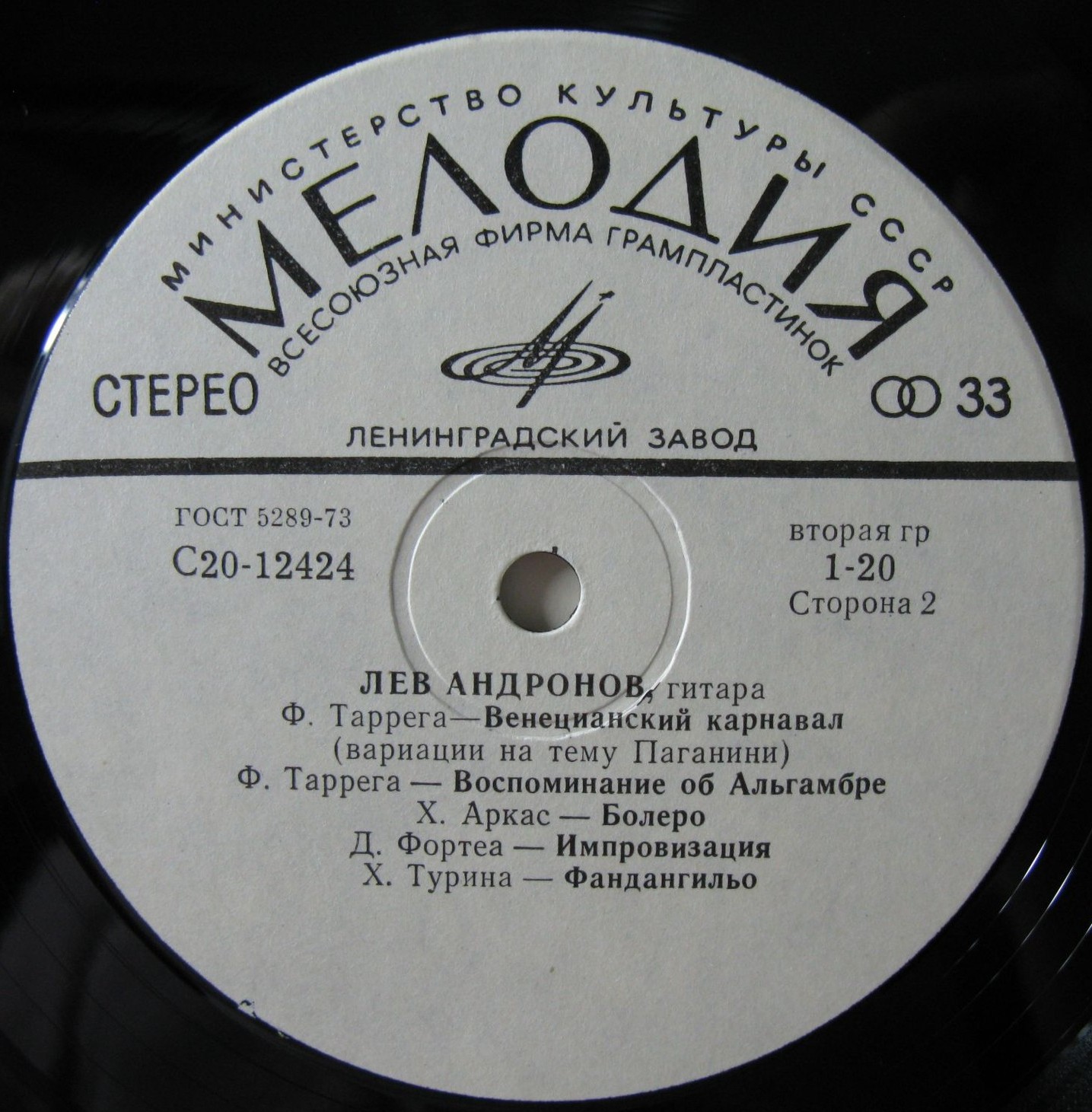 Лев Андронов‎, гитара