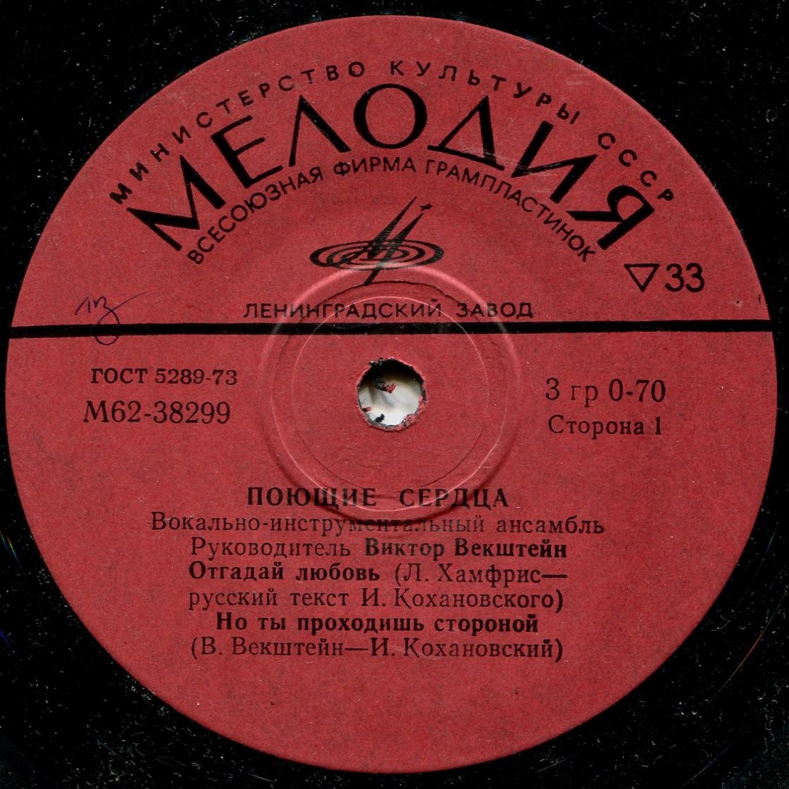 Поющие сердца. Вокально-инструментальный ансамбль