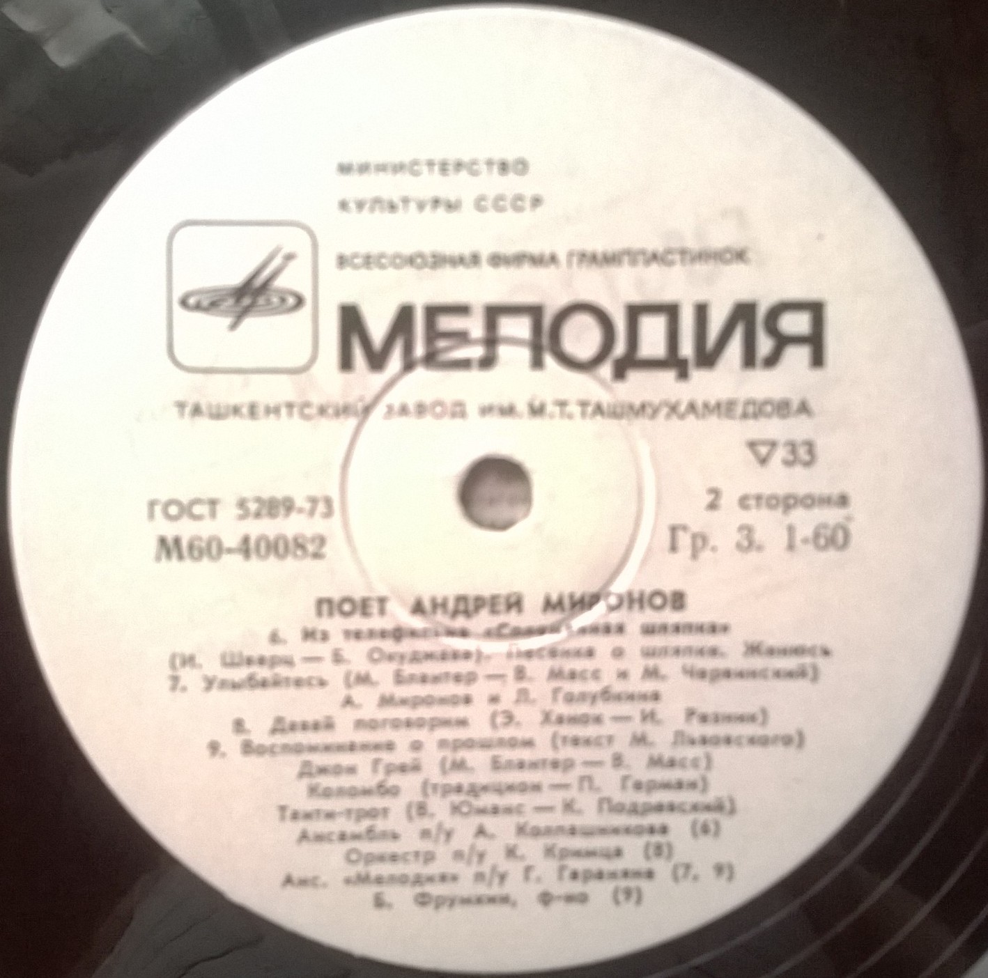 Поет Андрей Миронов