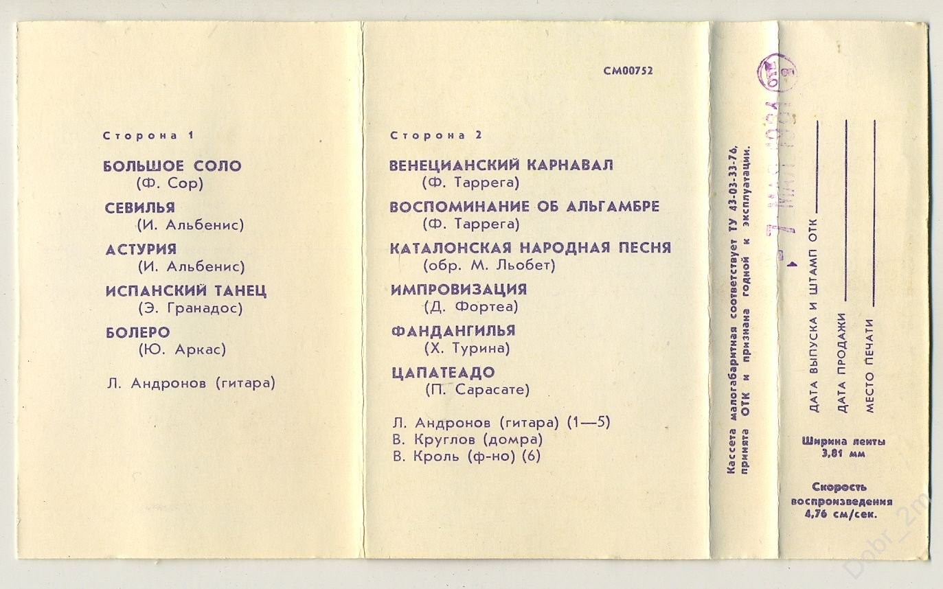 Лев Андронов‎, гитара