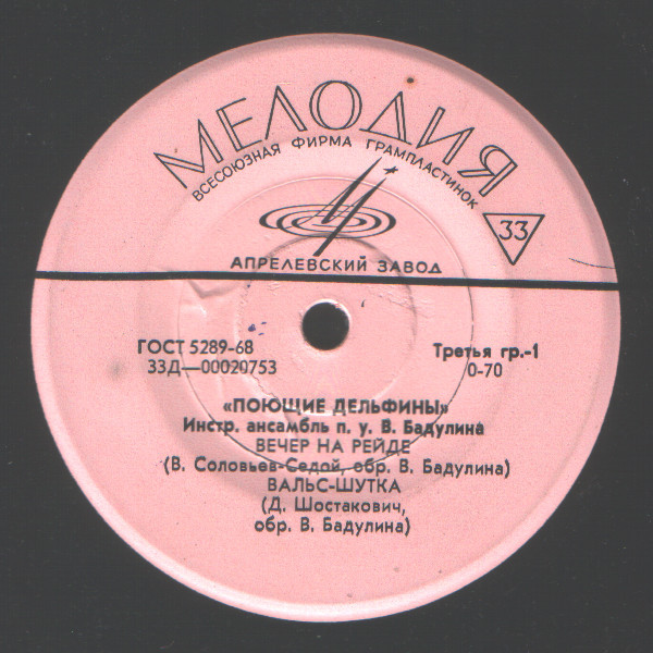 Инструментальный ансамбль «Поющие дельфины» п/у В. Бадулина