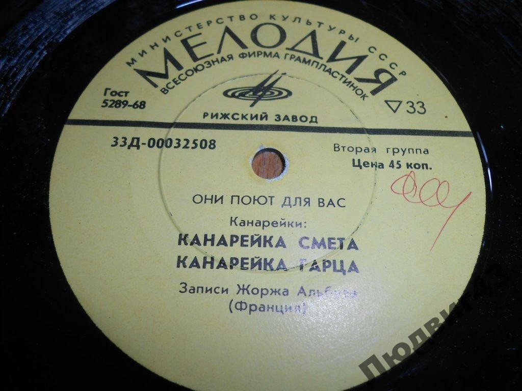 Они поют для вас