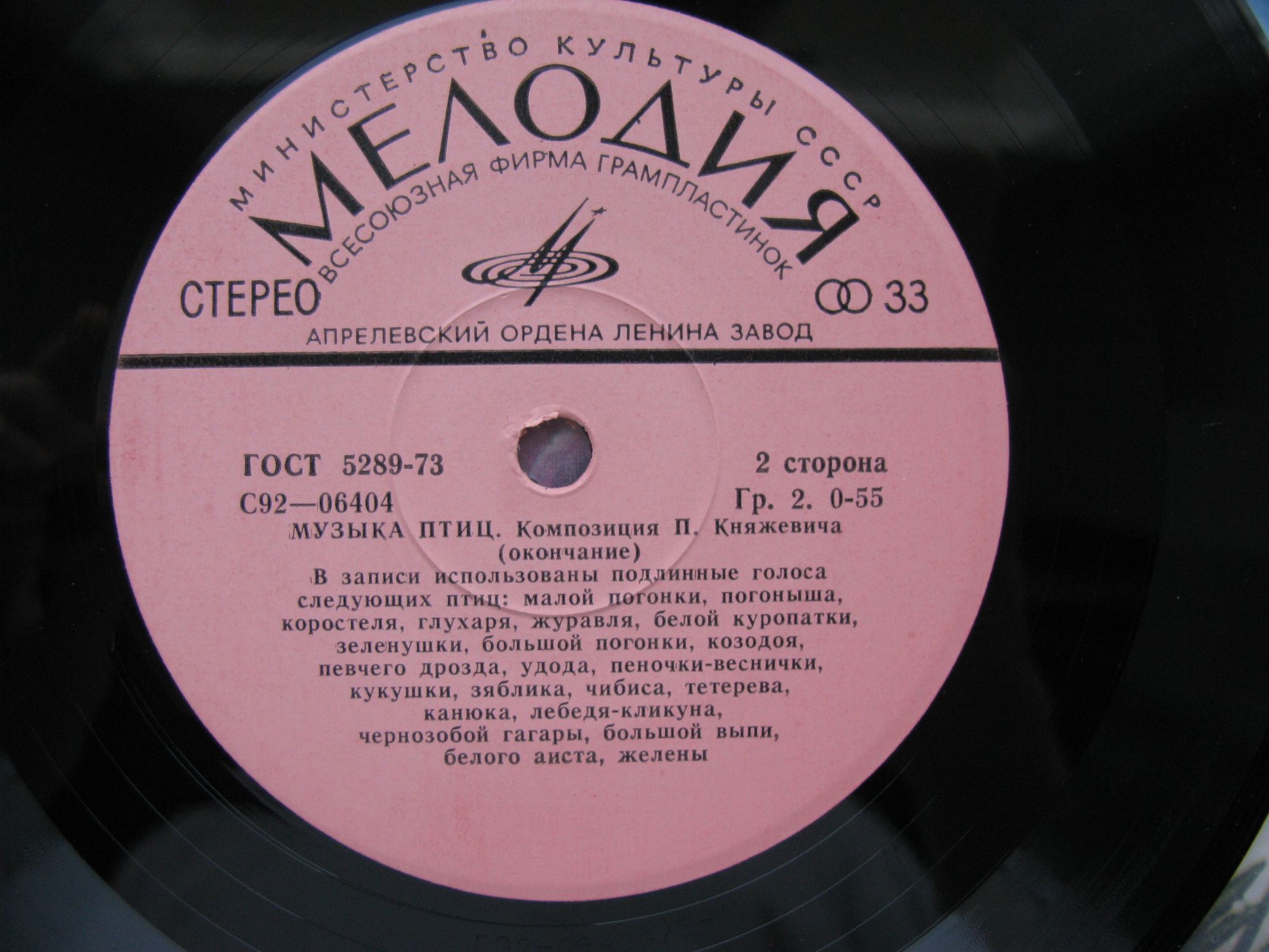 Музыка птиц. Композиция П. Княжевича