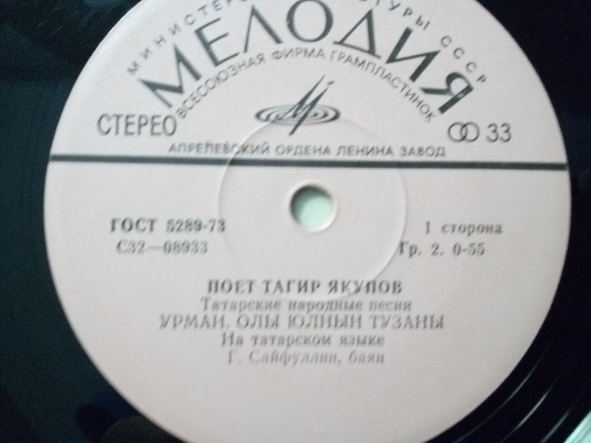 Поет Тагир ЯКУПОВ. Татарские народные песни
