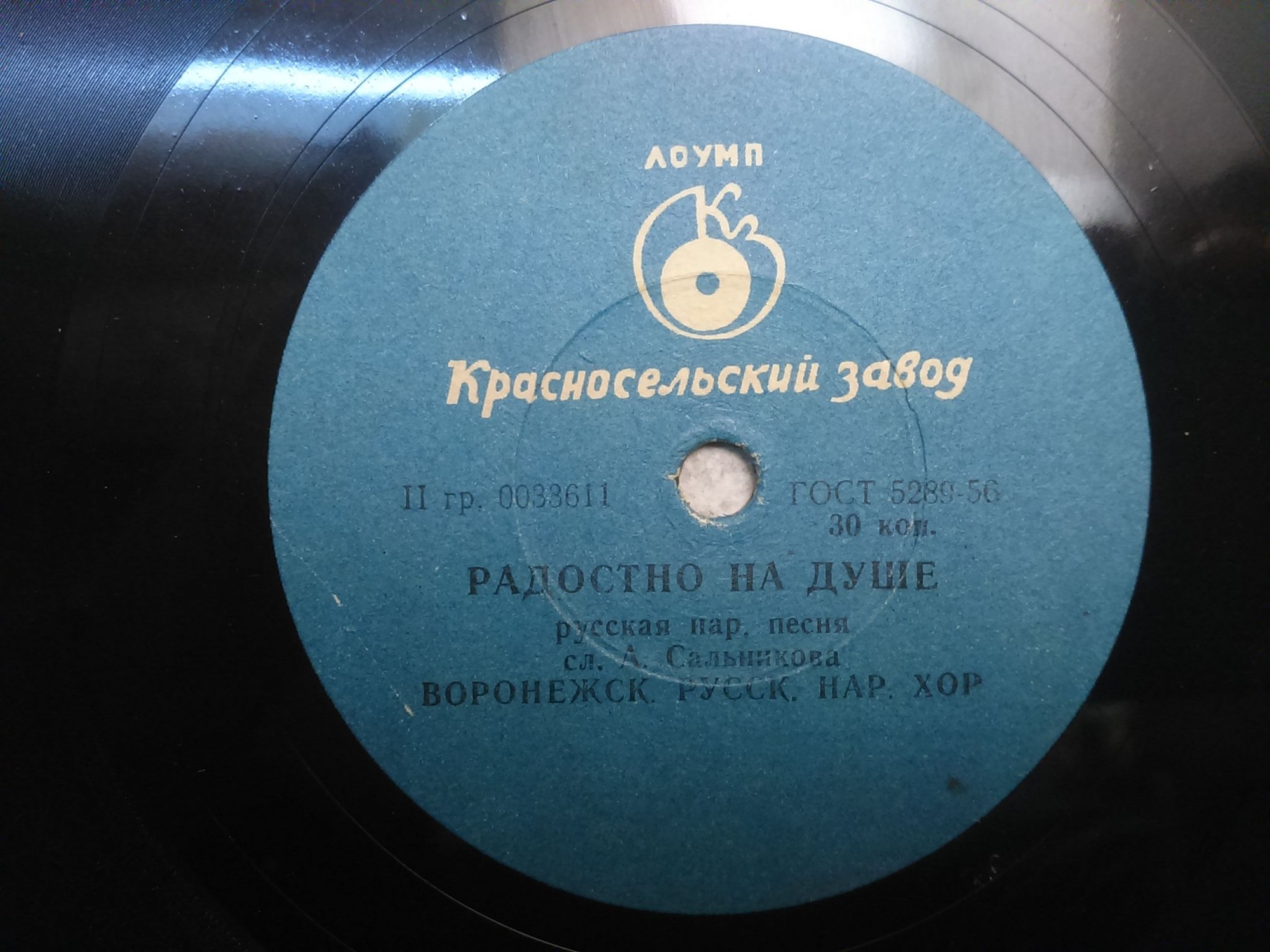 Воронежский русский нар. хор - Сады, садочки / Радостно на душе