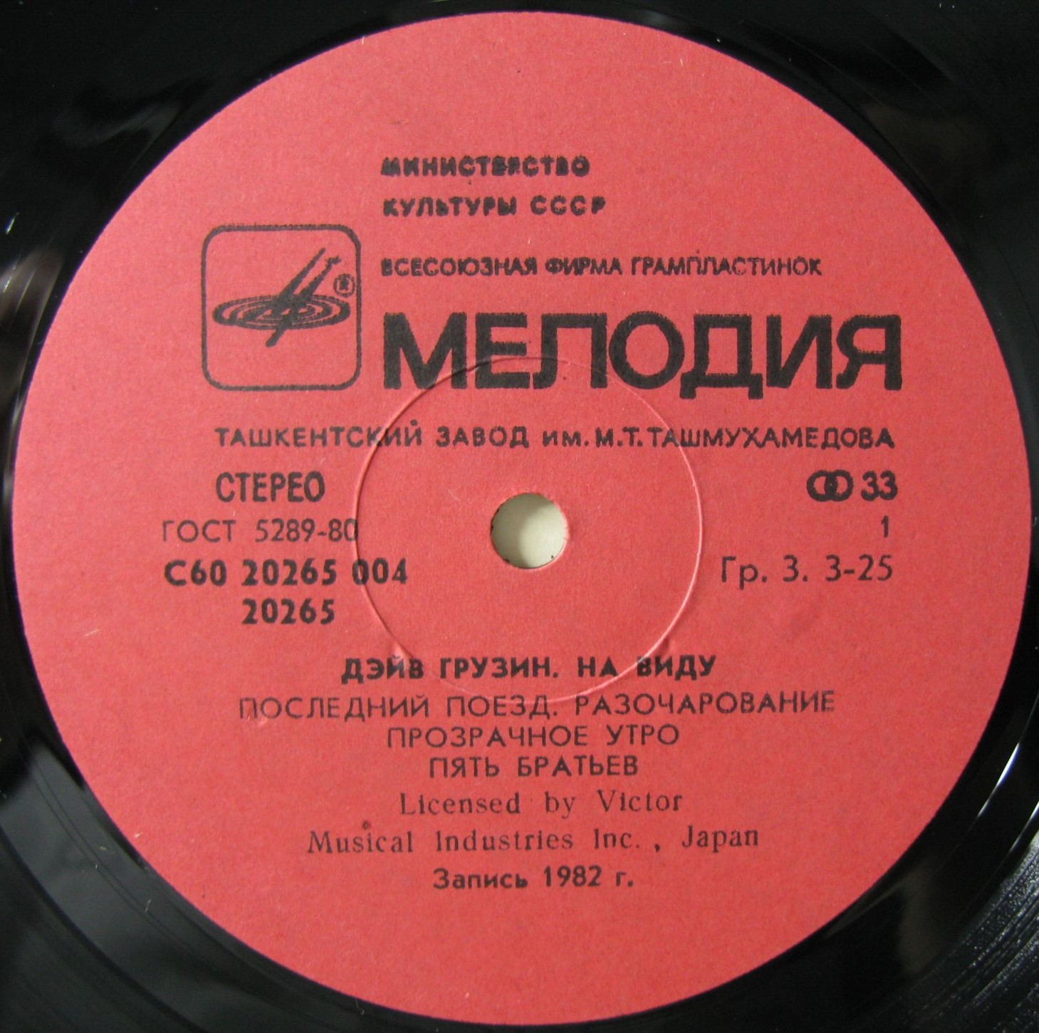 Дэйв Грузин. На виду