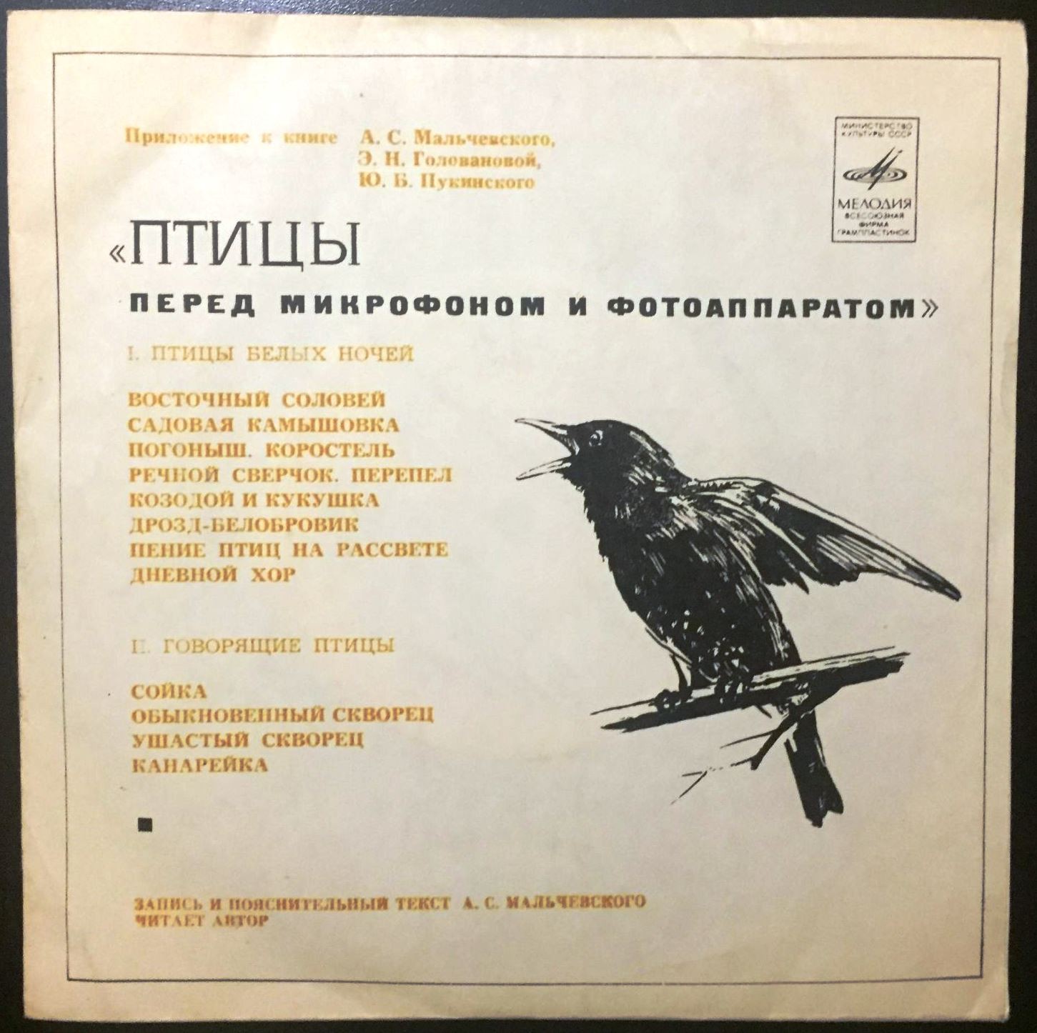 «ПТИЦЫ ПЕРЕД МИКРОФОНОМ И ФОТОАППАРАТОМ». Птицы белых ночей. Говорящие птицы