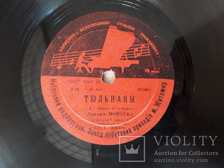 Тюльпаны // Майские цветы