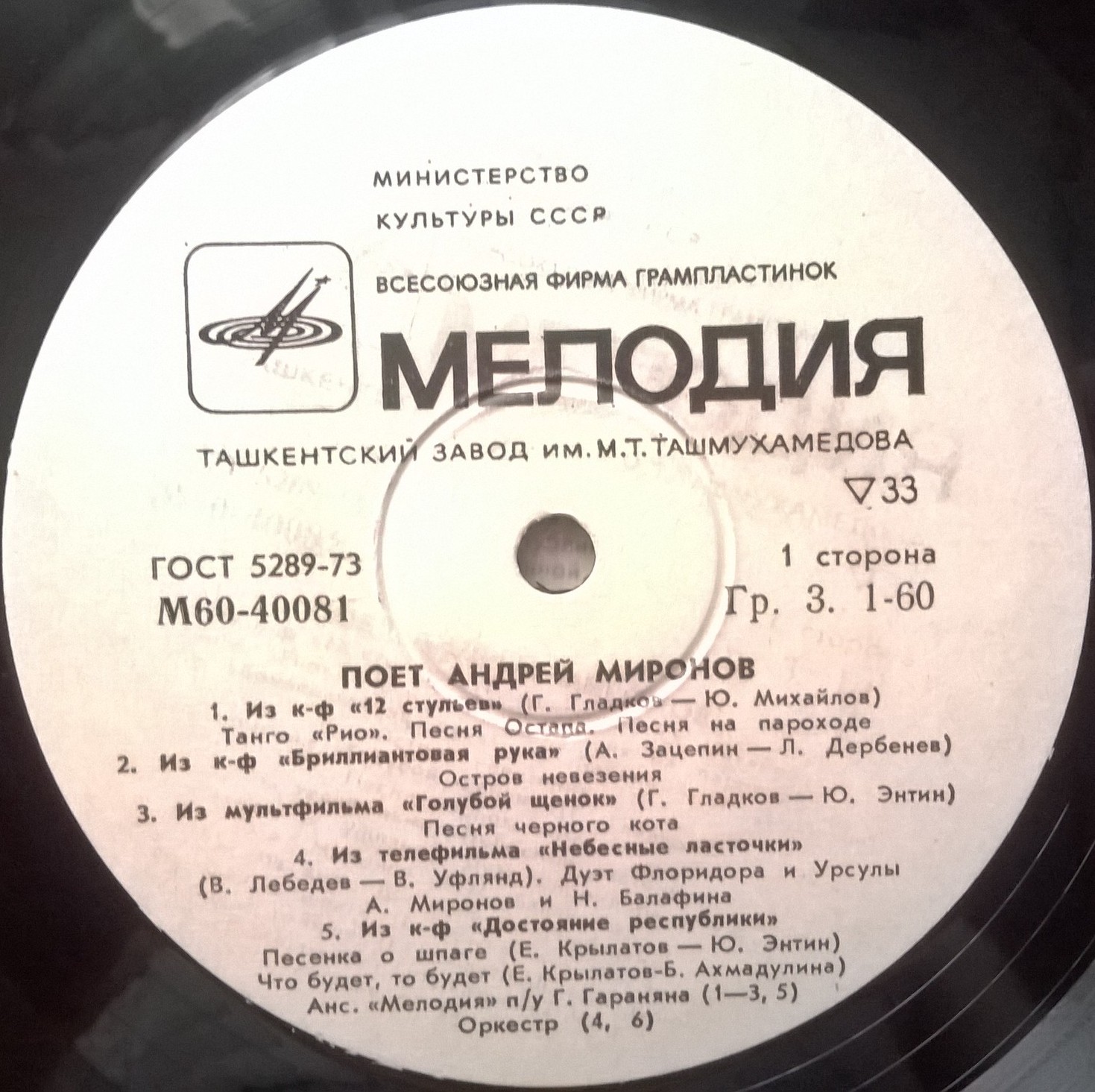 Поет Андрей Миронов