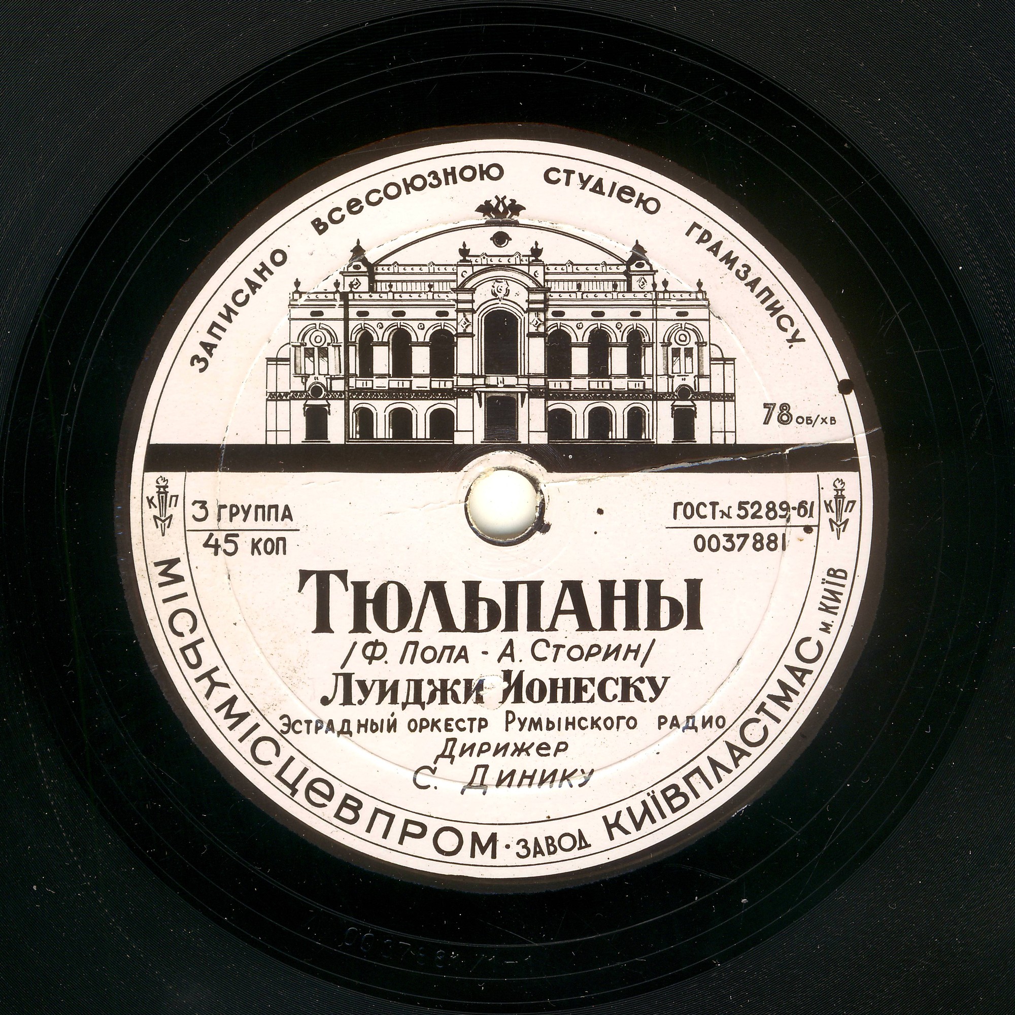 Тюльпаны // Майские цветы
