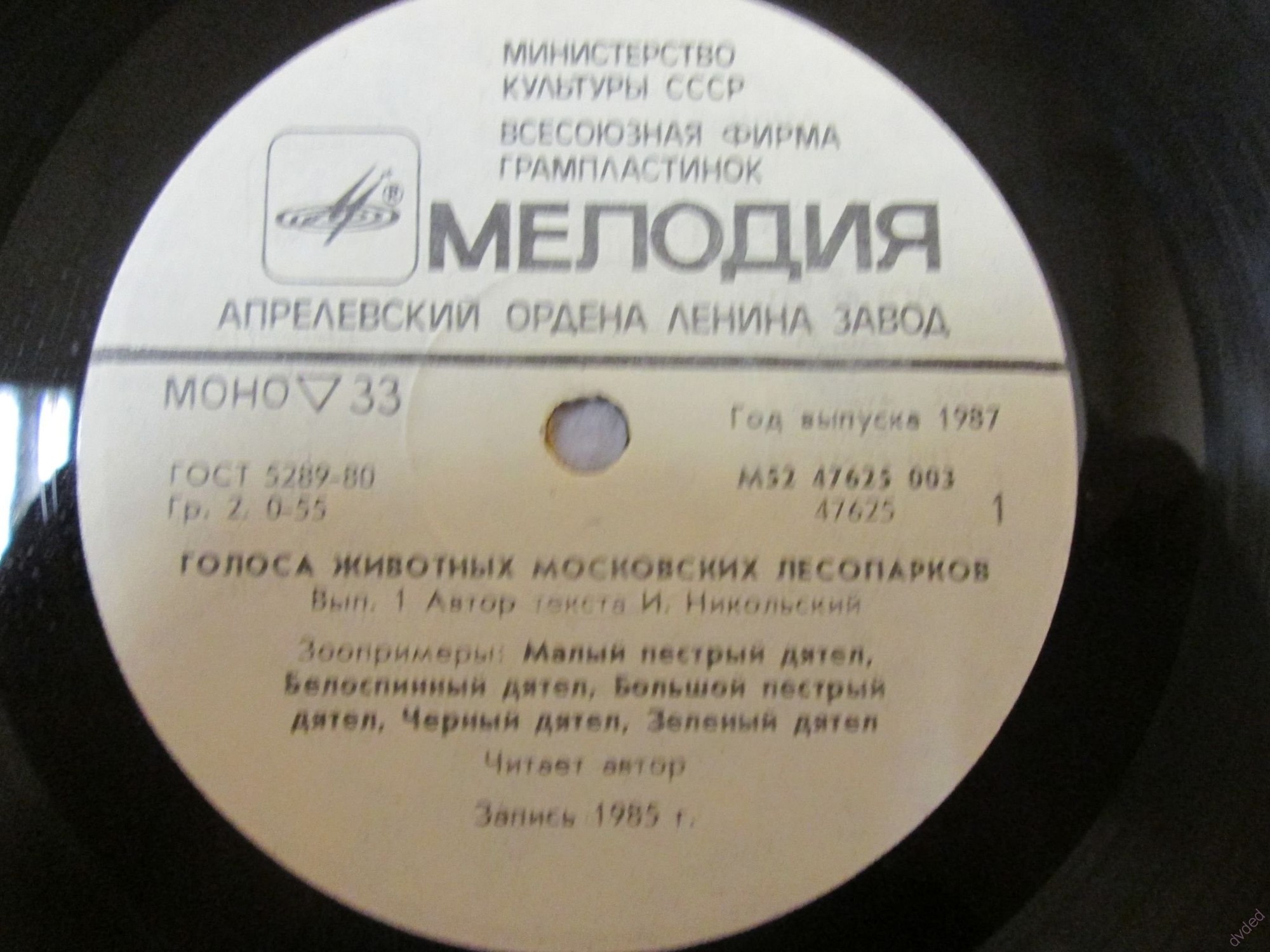 ГОЛОСА ЖИВОТНЫХ МОСКОВСКИХ ЛЕСОПАРКОВ (выпуск 1).