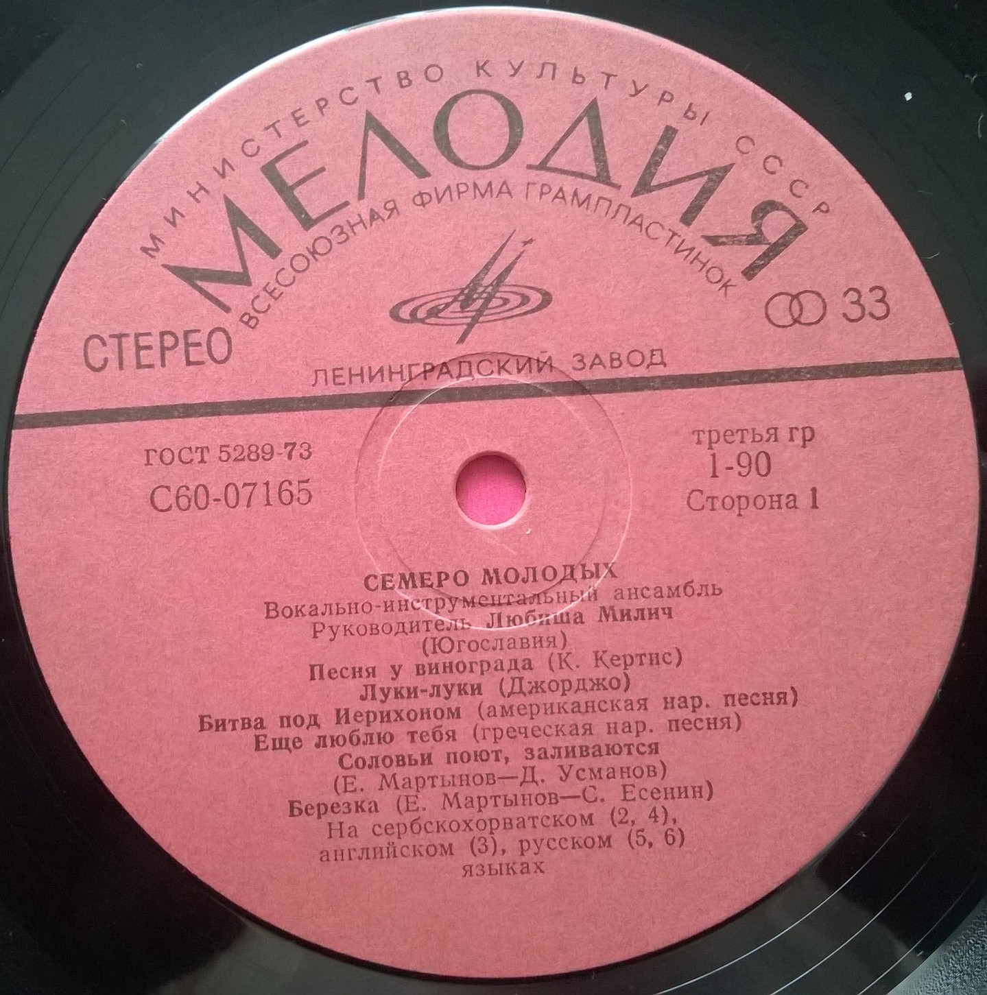 Семеро молодых. Вокально-инструментальный ансамбль. Руководитель Любиша Милич (Югославия)