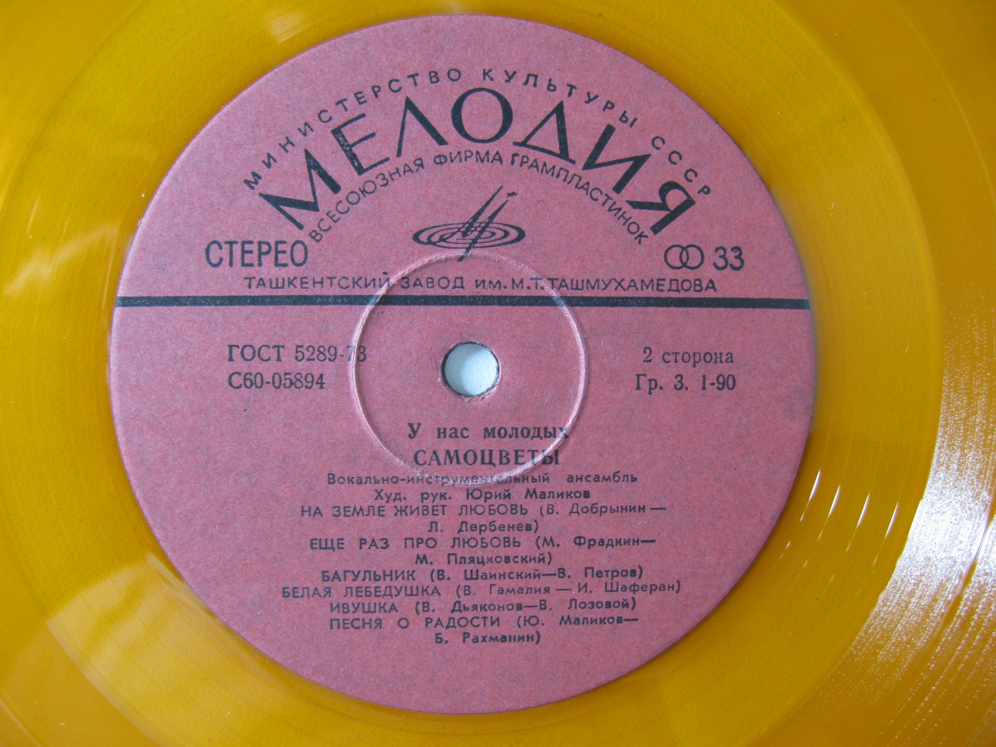 ВИА «Самоцветы». У нас, молодых