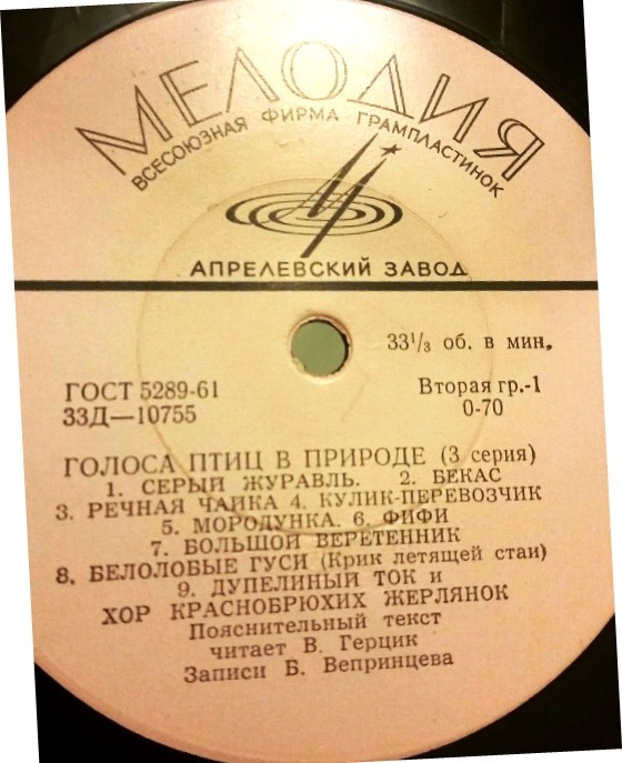 ГОЛОСА ПТИЦ В ПРИРОДЕ (3 серия)