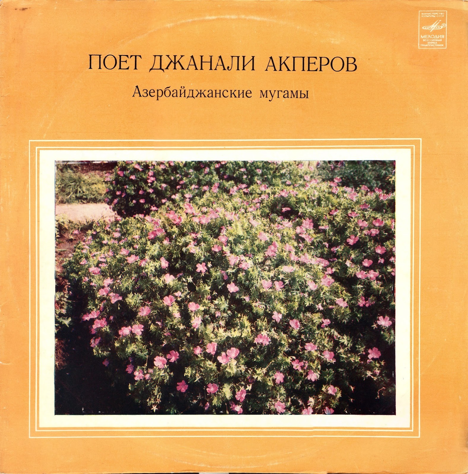 Поёт Джанали Акперов