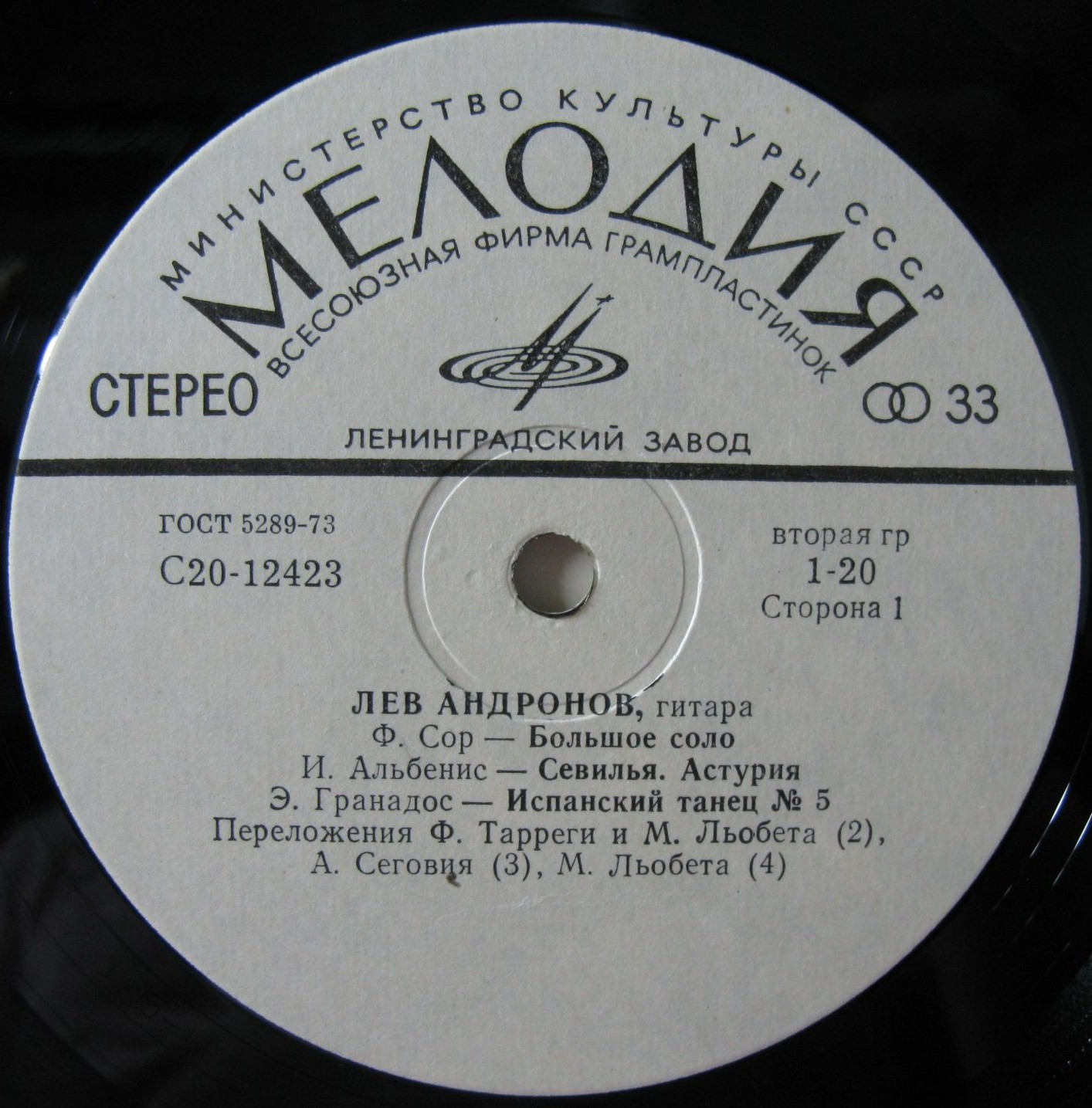 Лев Андронов‎, гитара