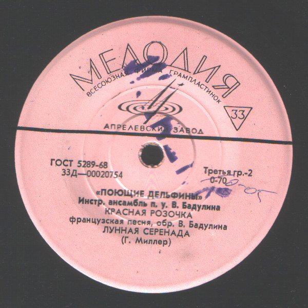 Инструментальный ансамбль «Поющие дельфины» п/у В. Бадулина