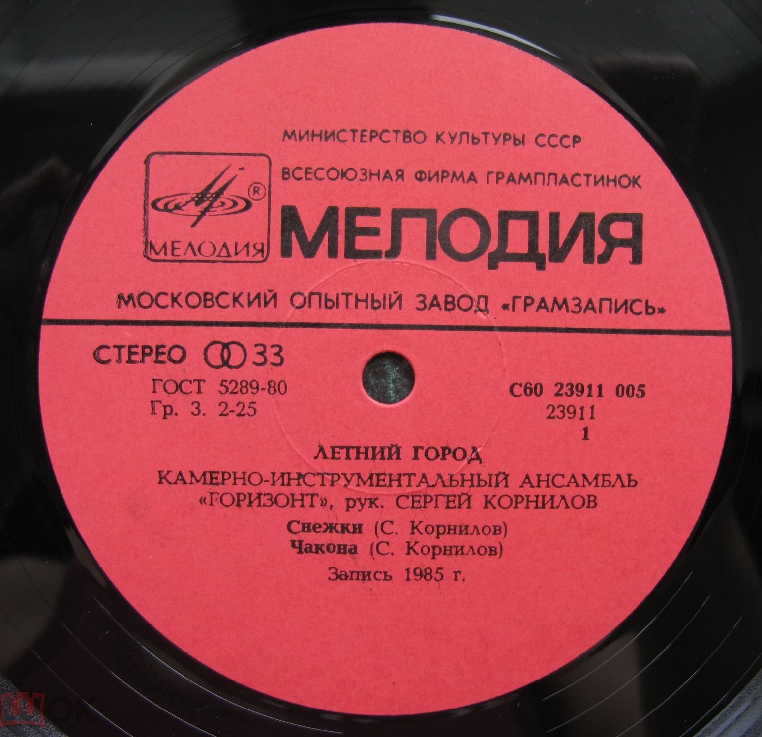 КАМЕРНО-ИНСТРУМЕНТАЛЬНЫЙ АНСАМБЛЬ «ГОРИЗОНТ», руководитель Сергей Корнилов. «Летний город»