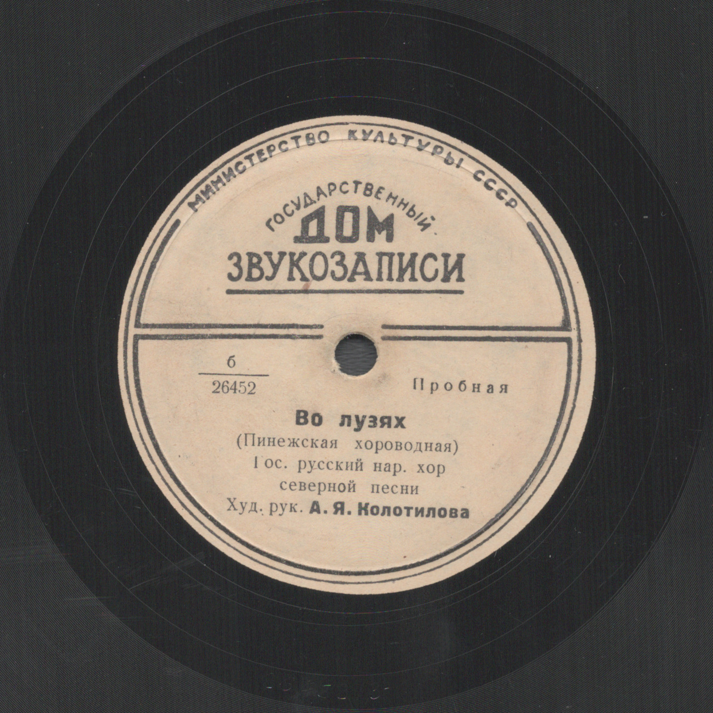 Во лузях / Летел голубь