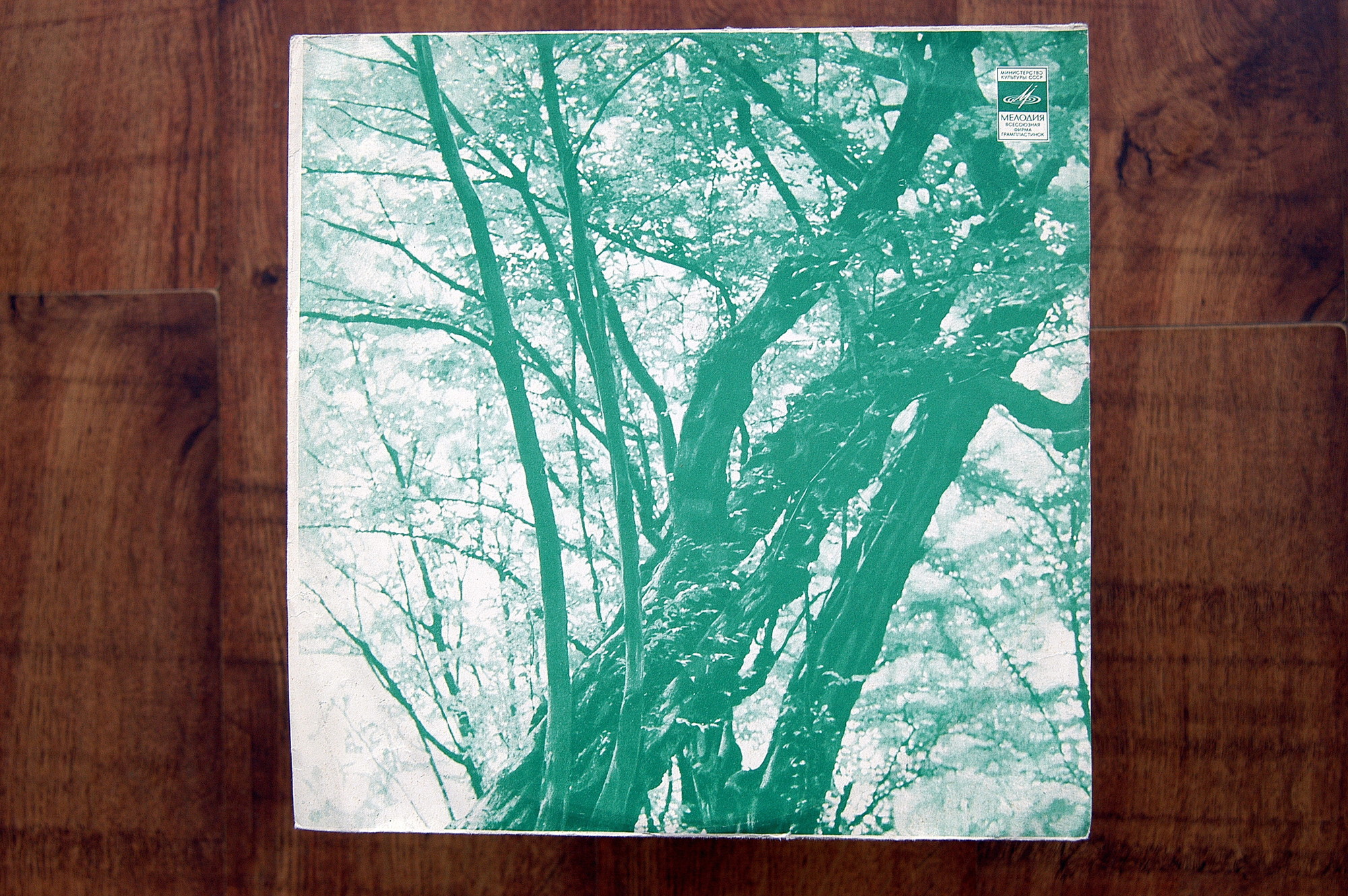 Нани Брегвадзе