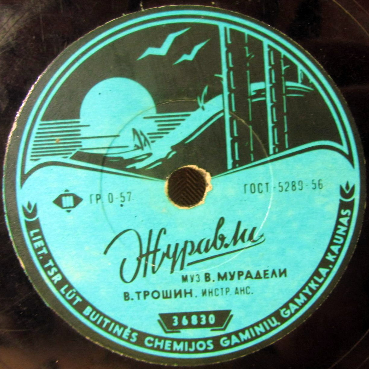 Владимир Трошин — Журавли / Есть такая любовь