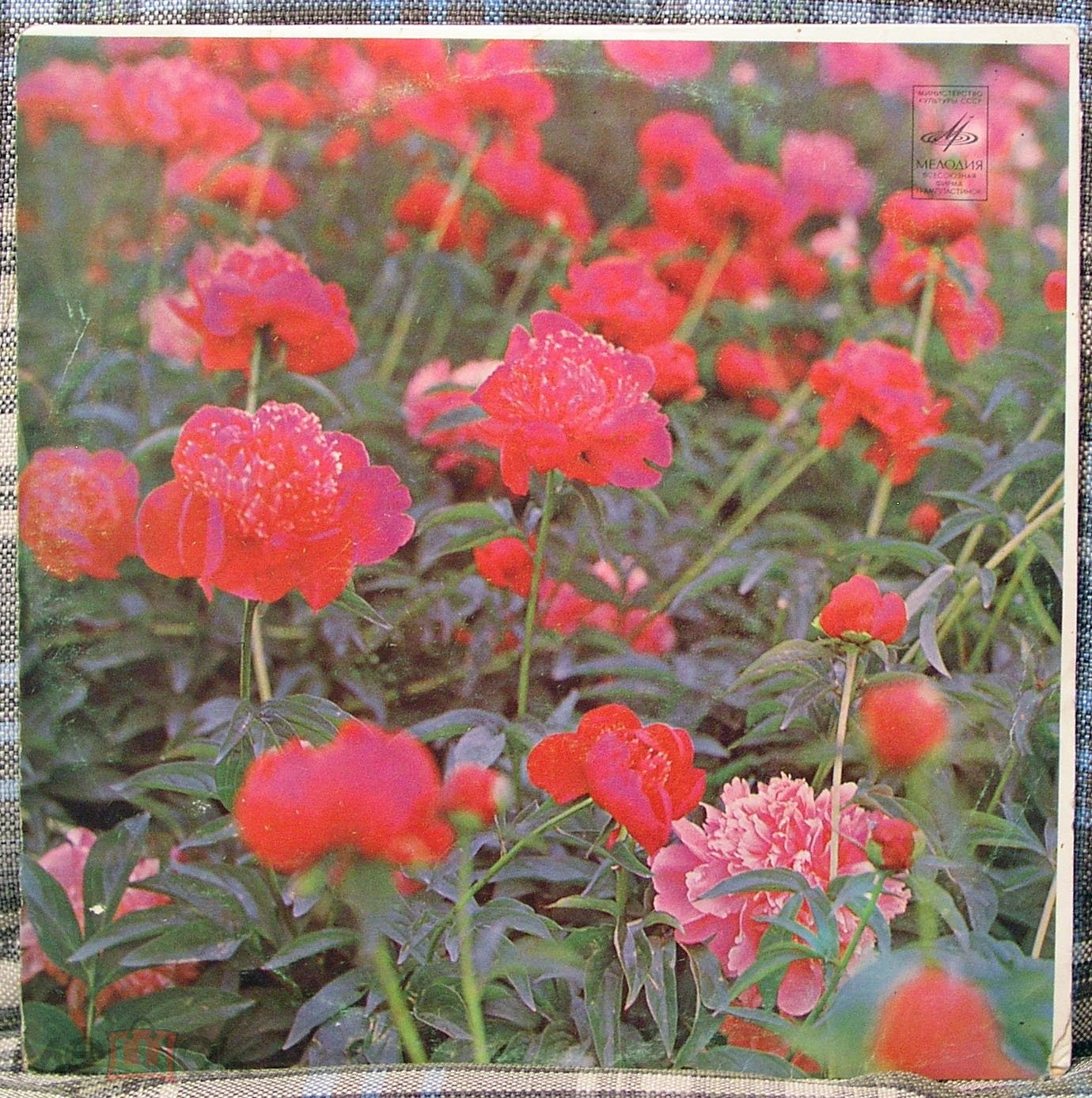 Пионерские песни Евгения Жарковского