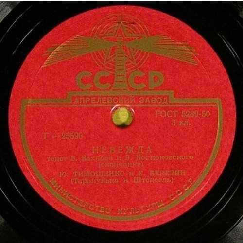 Ю. Тимошенко и Е. Березин