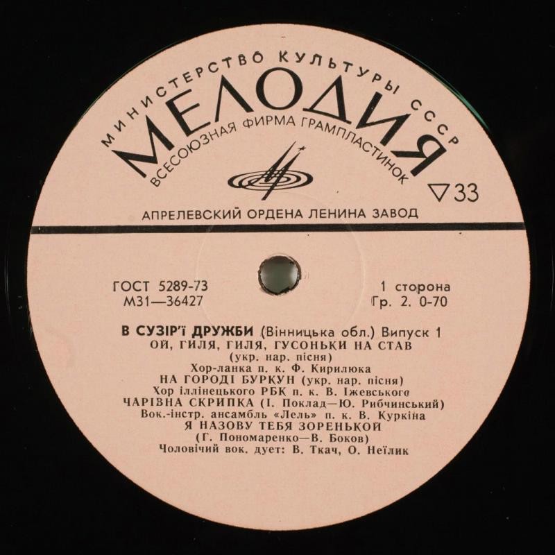 В СУЗIР'Ї ДРУЖБИ (фестиваль). Винницкая область