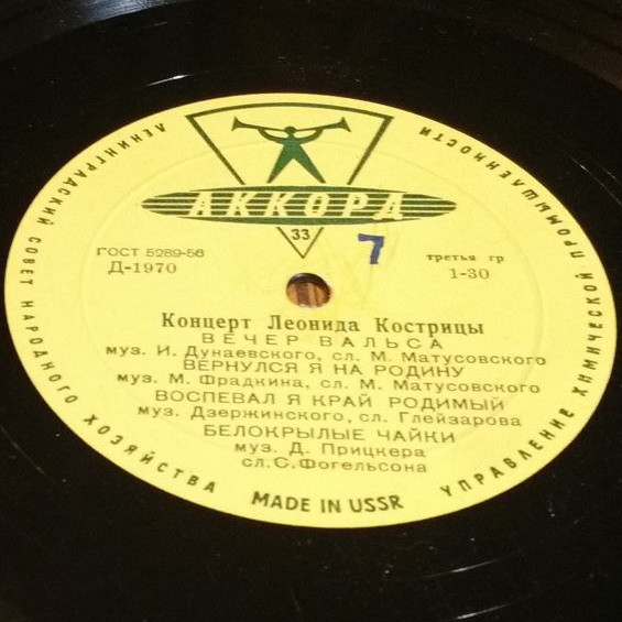 Концерт Леонида Кострицы