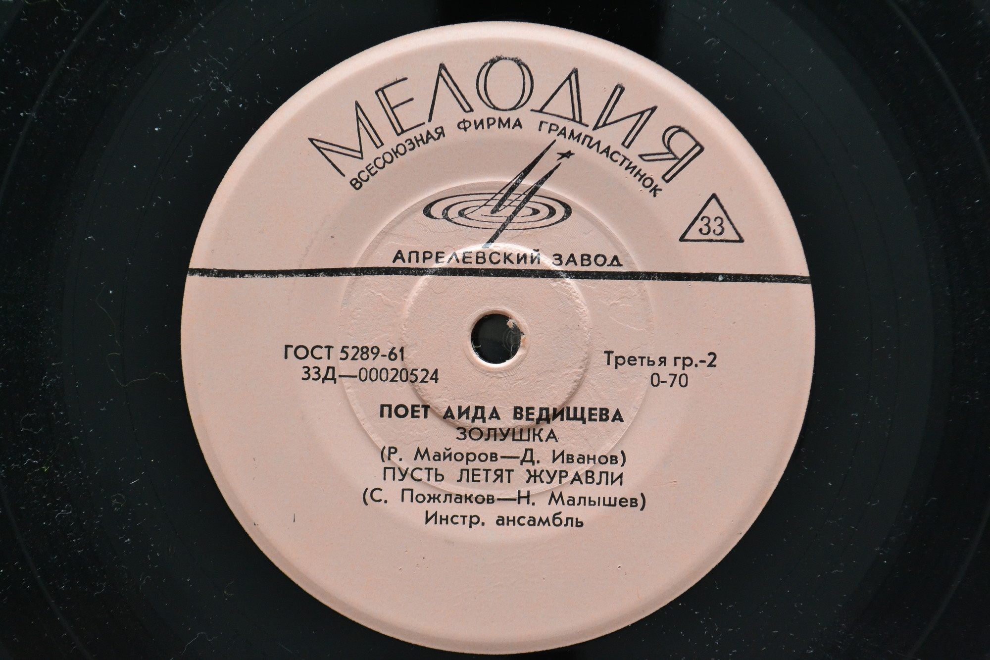 Поет Аида Ведищева