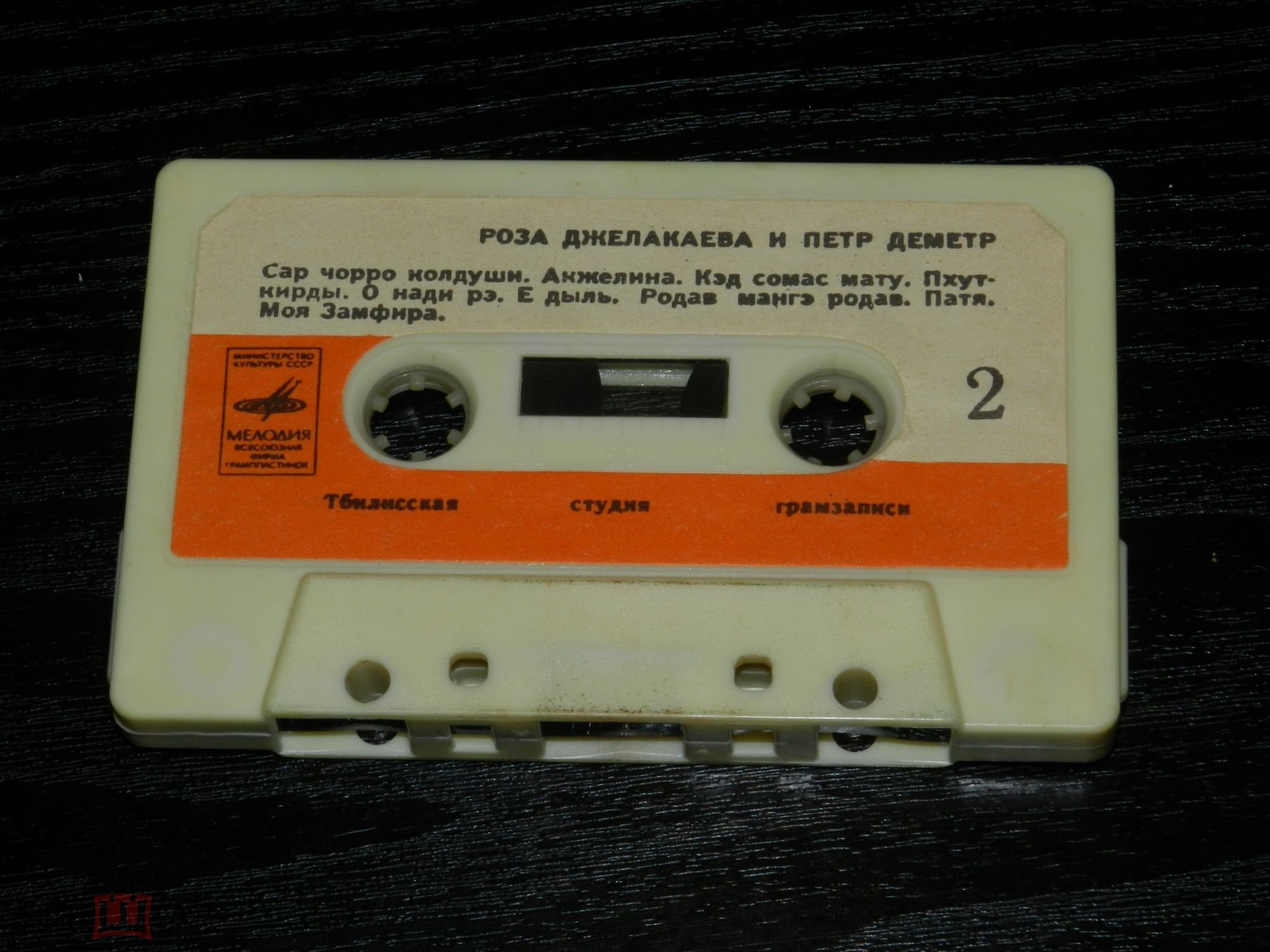 Роза ДЖЕЛАКАЕВА и Петр ДЕМЕТР. Песни цыган разных стран