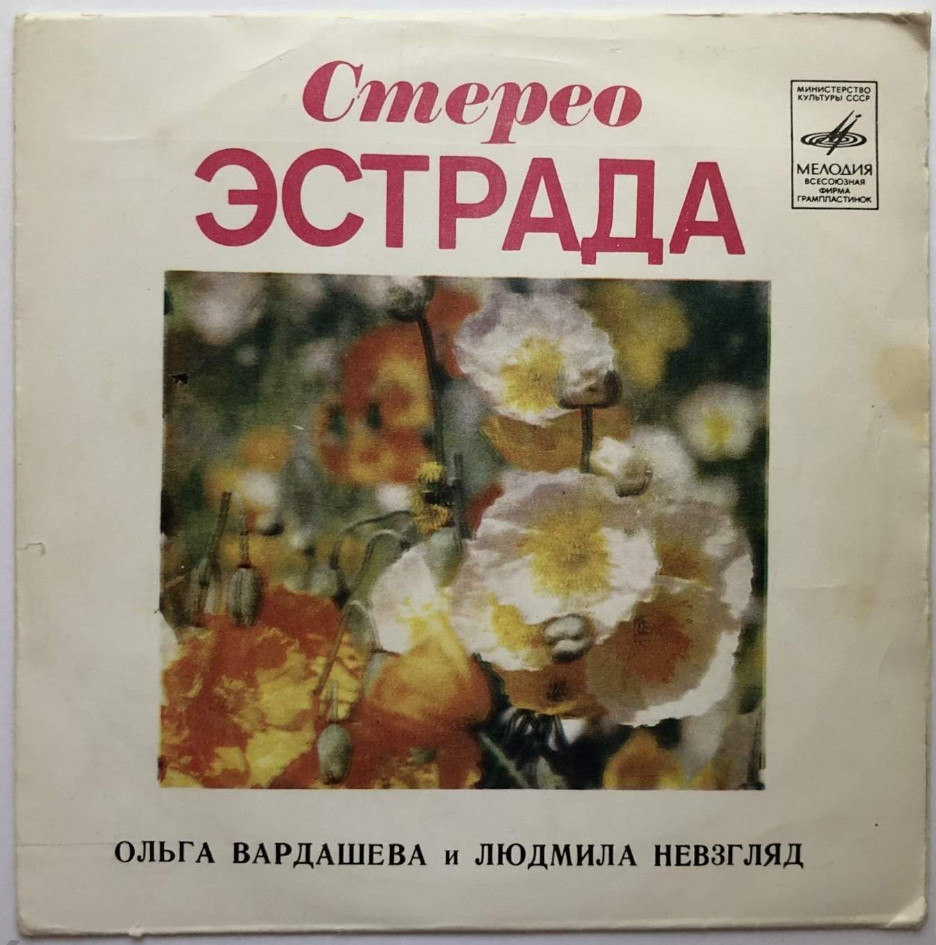 Ольга Вардашева и Людмила Невзгляд