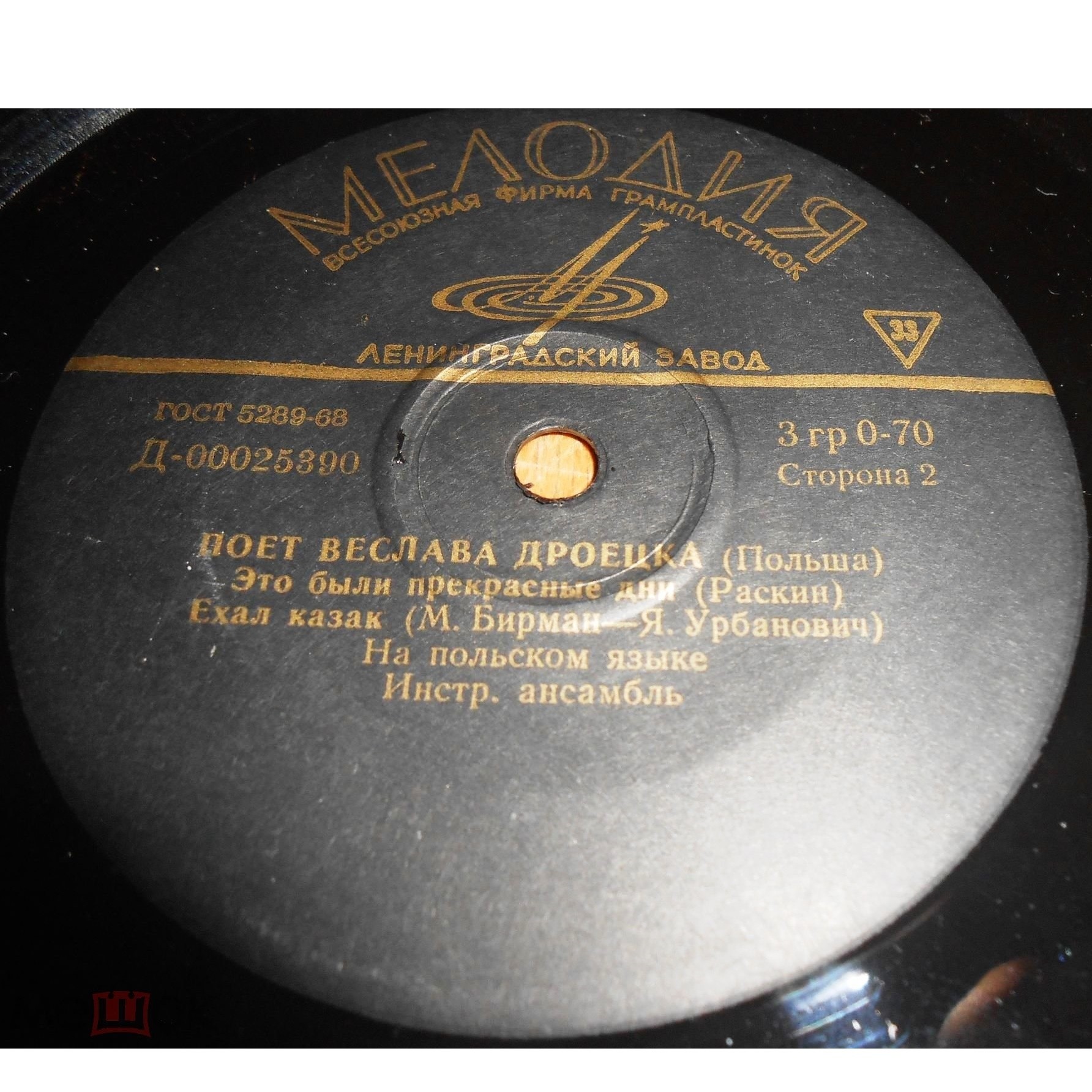 Веслава Дроецка (Польша)