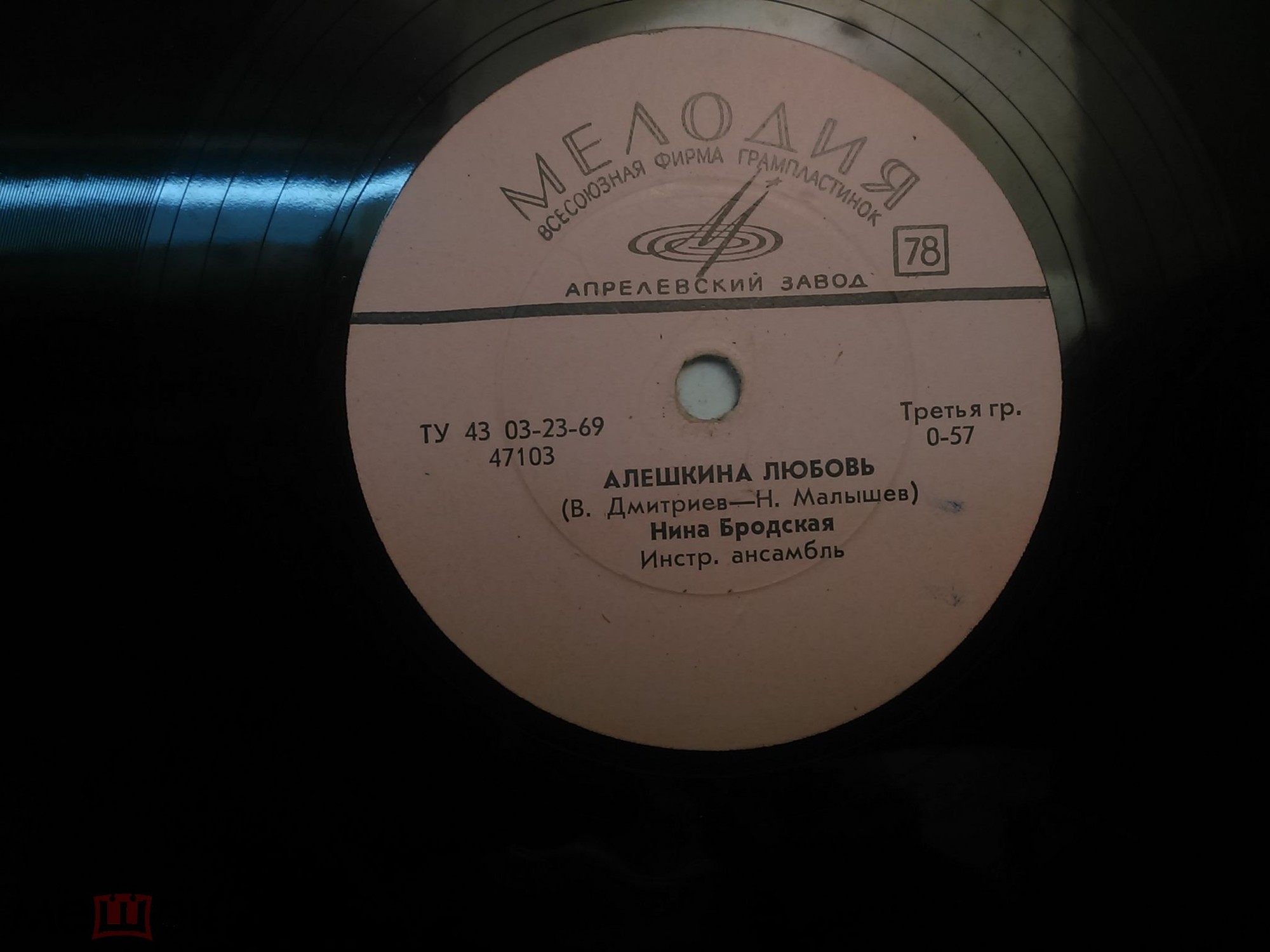 Нина Бродская — Алешкина любовь / Есть любовь негасимая