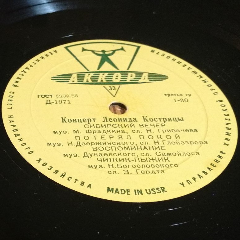 Концерт Леонида Кострицы