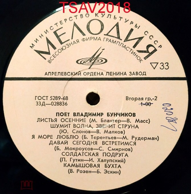 Поет Владимир БУНЧИКОВ