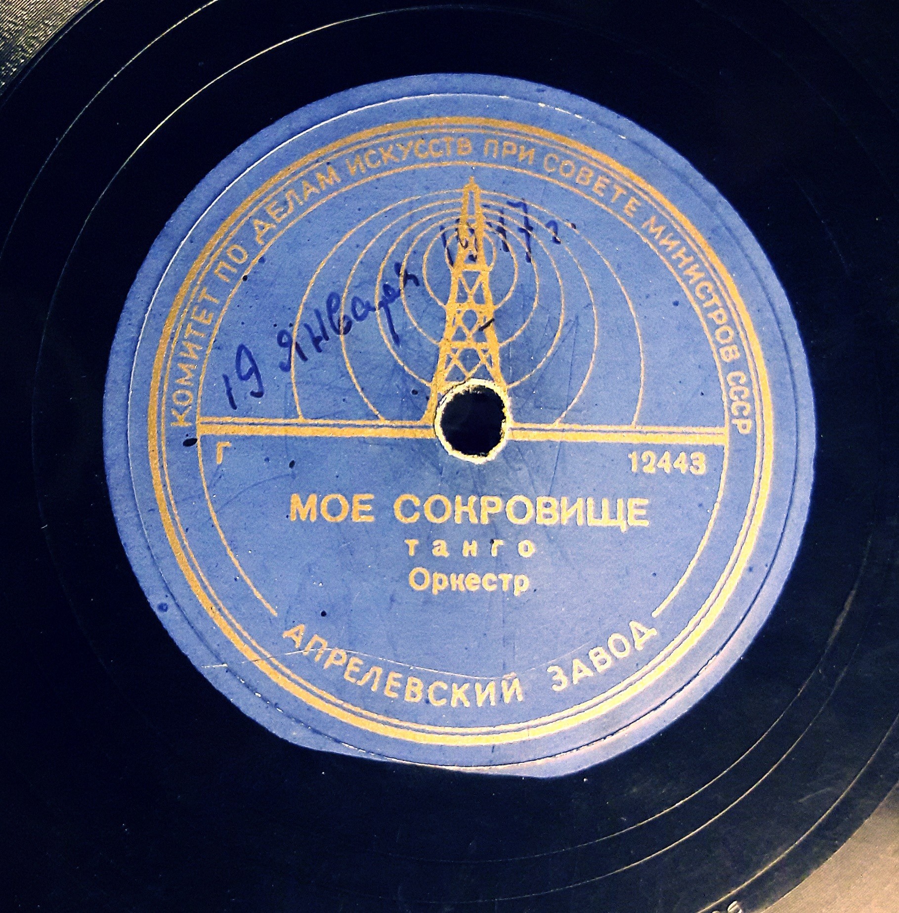 Оркестр — В лесу / Мое сокровище