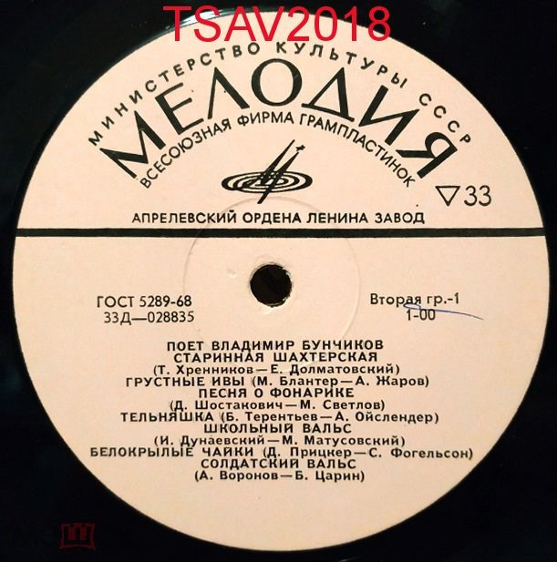 Поет Владимир БУНЧИКОВ