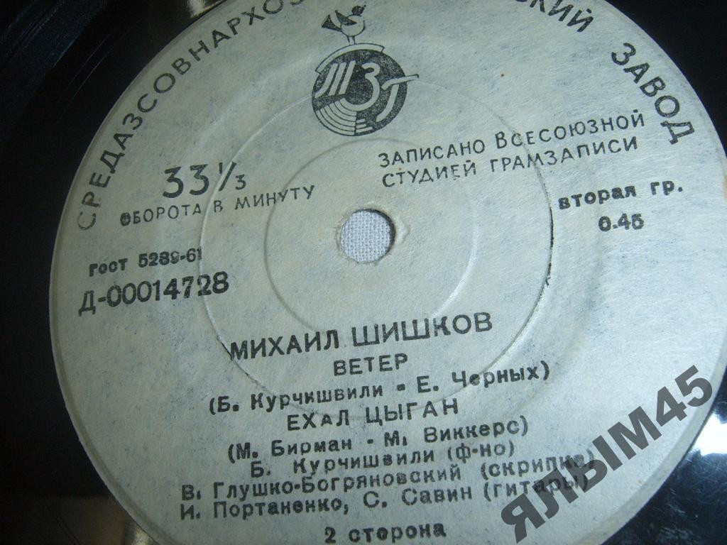 Михаил Шишков. Цыганские песни