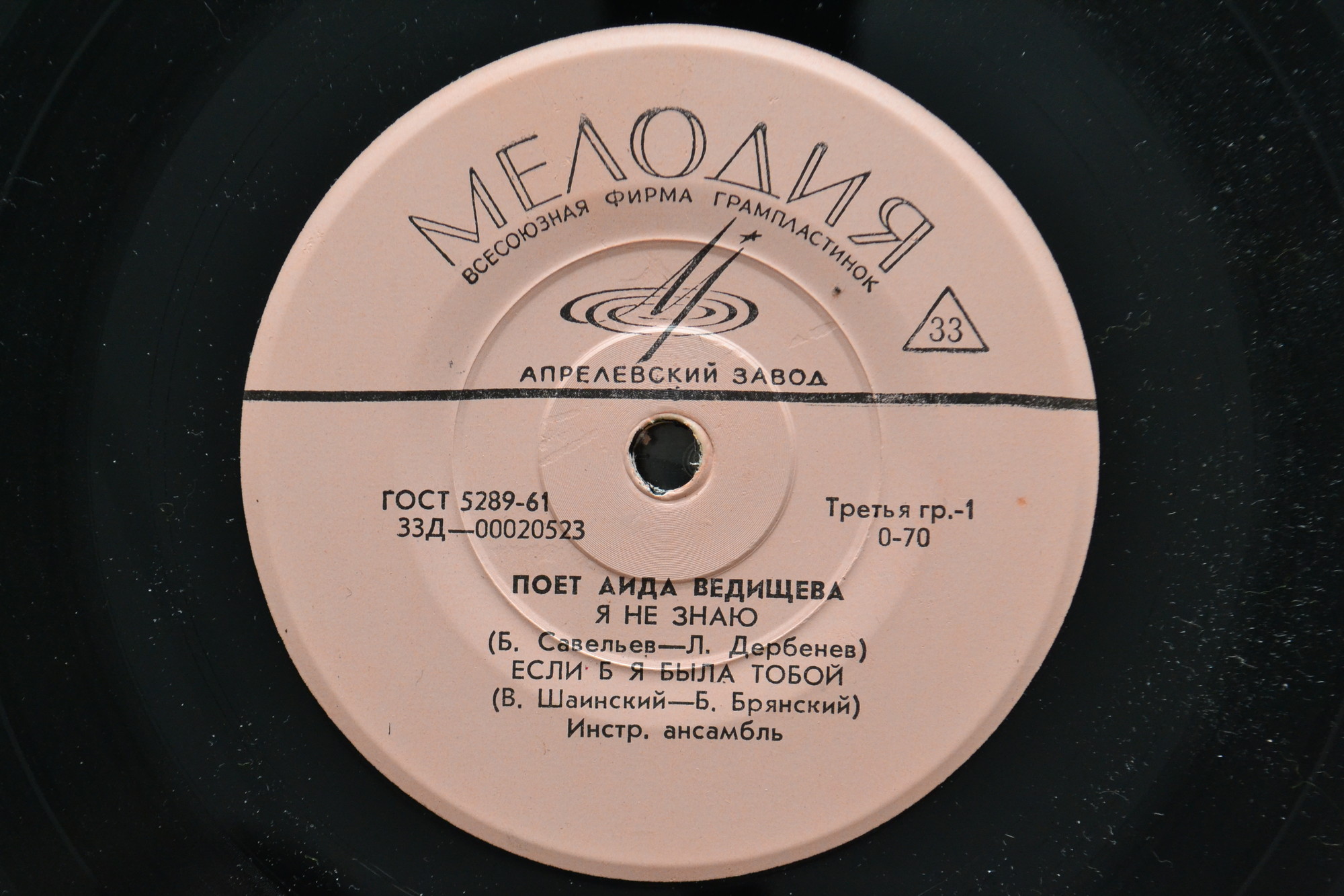 Поет Аида Ведищева