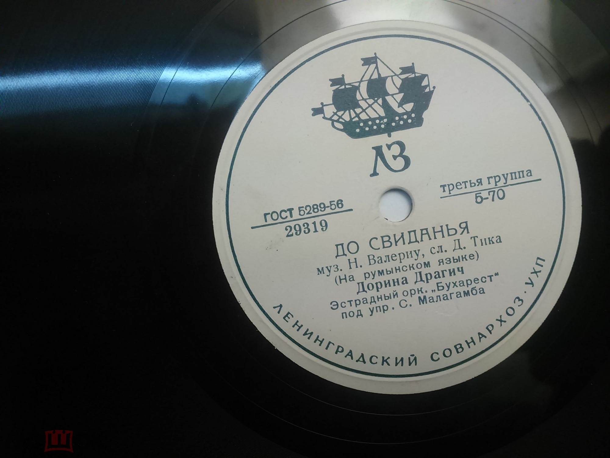 Дорина Драгич (Румыния)