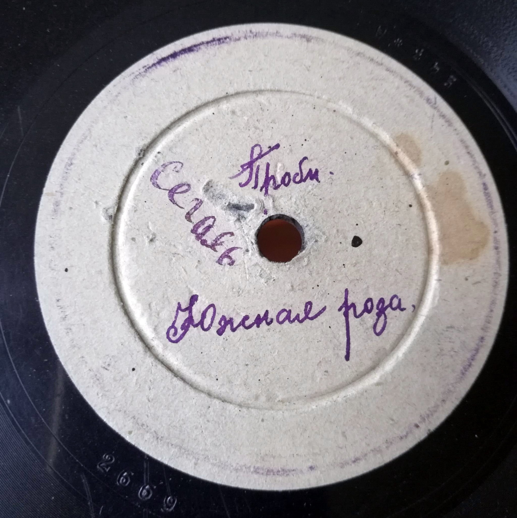 Симфонический оркестр п/у С. О. Брог - Южная роза / Лёгкая кровь